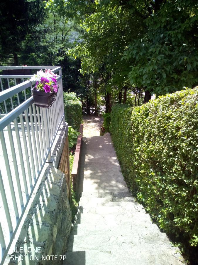 יאיצי Apartman Relax In Nature מראה חיצוני תמונה
